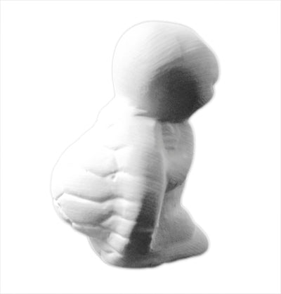 3D Sticker Schildkröte 8 Stk. (stehend)